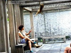 Pekin- Shichahai 025